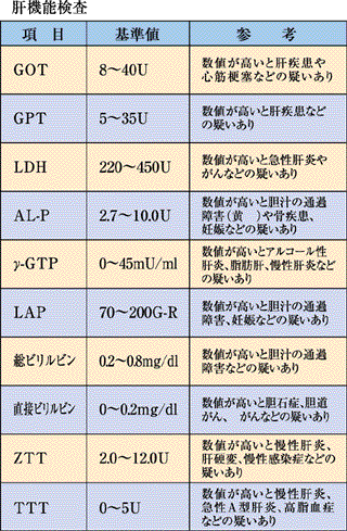 数値 肝臓