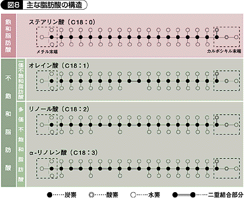 脂肪酸 と は 飽和