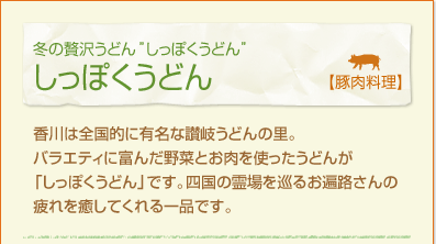 冬の贅沢うどん”しっぽくうどん”