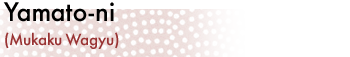 Yamato-ni